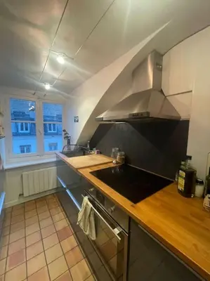 Cuisine ou kitchenette dans l'établissement Magnifique appartement Paris 10ème