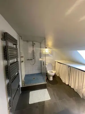 Salle de bains dans l'établissement Magnifique appartement Paris 10ème
