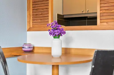 Plan de l'établissement Grand appartement avec balcon - Proche Parc des Expo - Parking Privée