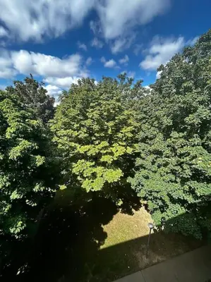 Jardin de l'établissement Confort cosy