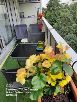 Jardin de l'établissement studio Boulogne Billancourt
