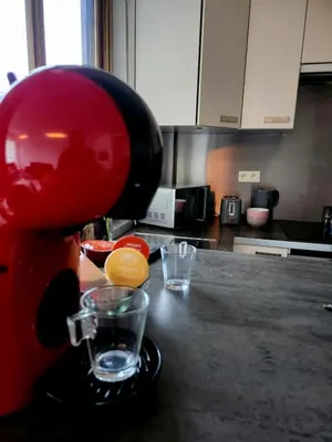 Cuisine ou kitchenette dans l'établissement Appart'Chic
