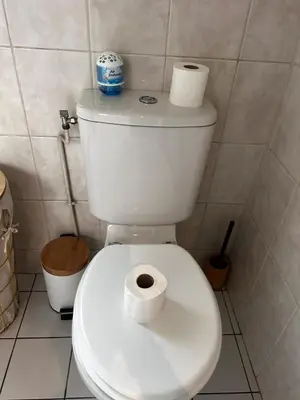 Salle de bains dans l'établissement Appartement au coeur de paris à 1 kilomètre de la Tour Eiffel