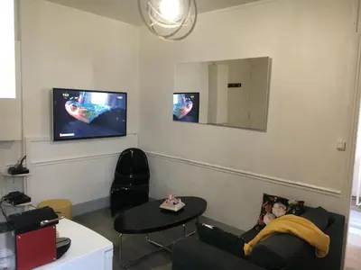 Télévision ou salle de divertissement dans l'établissement appartement T2 porte de Pantin Métro Hoche