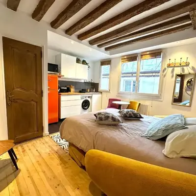 Mytripinparis - Fully renovated studio historical Paris