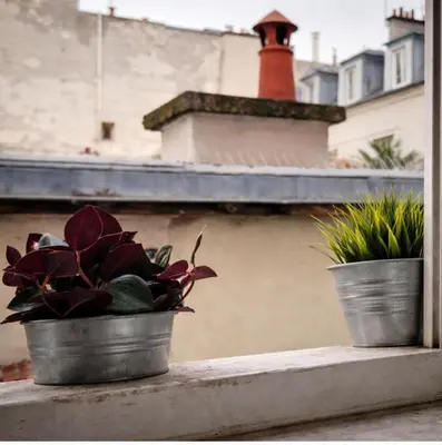 Bâtiment de l'appartement