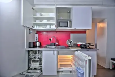 Cuisine ou kitchenette dans l'établissement 1 bedroom apt only 15 min walk to The Louvre