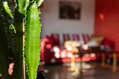 Coin salon dans l'établissement Chambre d'Amis - Chambres d'Hôtes-B&B-Guest House
