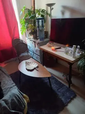 Plan de l'établissement Joli T2 équipé Boulogne / Paris 16ème