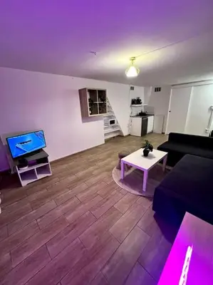 Télévision ou salle de divertissement dans l'établissement Studio charmant centre Idéal