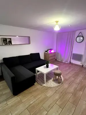 Coin salon dans l'établissement Studio charmant centre Idéal