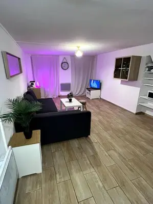 Télévision ou salle de divertissement dans l'établissement Studio charmant centre Idéal