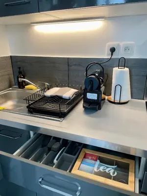 Cuisine ou kitchenette dans l'établissement Studio Cosy Vanves Paris Porte de Versailles