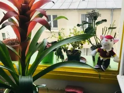 Jardin de l'établissement Parigi XI grande appart 2 camere da letto bagno privato 4 e più ospiti