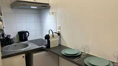 Cuisine ou kitchenette dans l'établissement Cozy studio in Paris 15eme