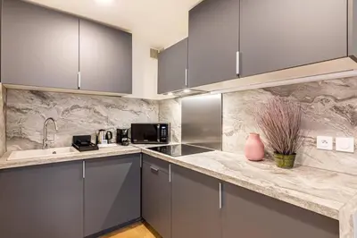 Cuisine ou kitchenette dans l'établissement Bel appartement parisien