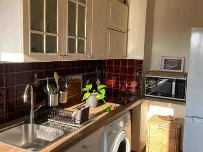Cuisine ou kitchenette dans l'établissement Joli Studio Lumineux