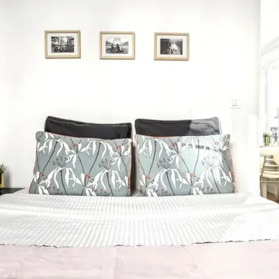 Luxury apartment near Le Marais