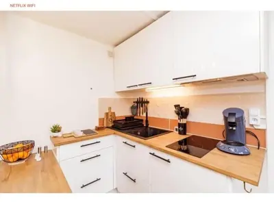 Cuisine ou kitchenette dans l'établissement Charmant studio lumineux calme