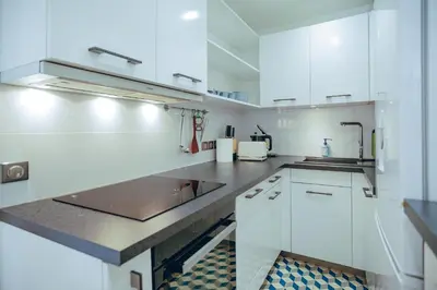 Cuisine ou kitchenette dans l'établissement Paris15em Charles Michels Appartement