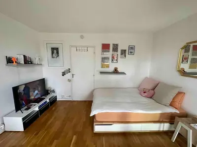Télévision ou salle de divertissement dans l'établissement The coziest 1B&B near l'Etoile (Arc de Triomphe)