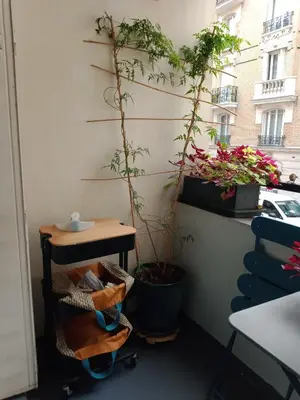 Plan de l'établissement Paris Bécon