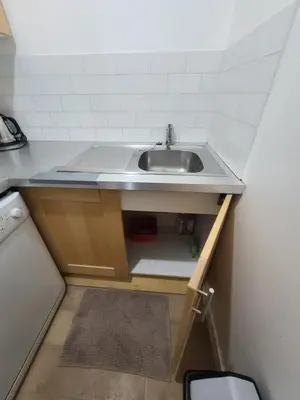 Cuisine ou kitchenette dans l'établissement Appartement Paris Centre - St Michel