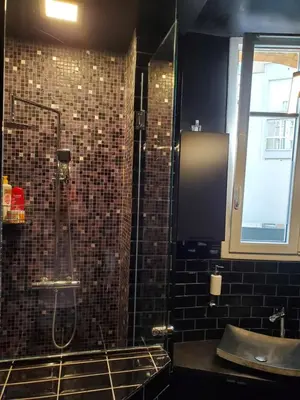 Salle de bains dans l'établissement Bel appartement à Clichy sur Seine