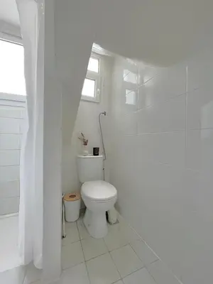 Salle de bains dans l'établissement Charmant appartement parisien