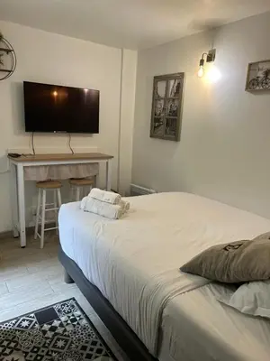 Télévision ou salle de divertissement dans l'établissement Joli studio rue de Nazareth