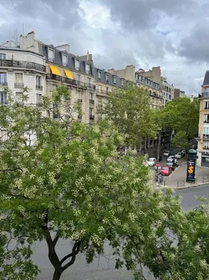 Quartier de l'appartement ou autre quartier proche