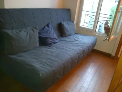 Coin salon dans l'établissement calme et repos, vue sur les arbres