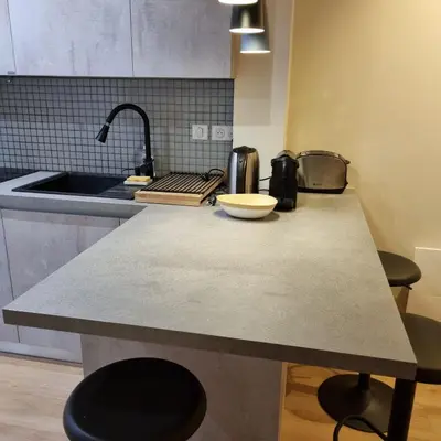 Cuisine ou kitchenette dans l'établissement Studio Paris 15