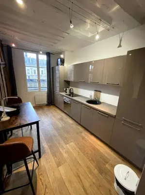 Cuisine ou kitchenette dans l'établissement Amazing Flat Views Seine River
