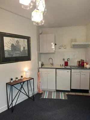 Cuisine ou kitchenette dans l'établissement Studio Paris Bastille