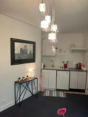 Cuisine ou kitchenette dans l'établissement Studio Paris Bastille