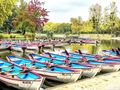 Vue sur la rivière ou le fleuve situé(e) à proximité de l'appartement