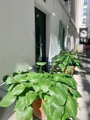 Plan de l'établissement Charmant 2 pièces Paris Montmartre