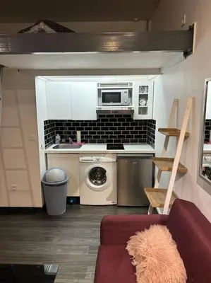 Cuisine ou kitchenette dans l'établissement Studio Bastille