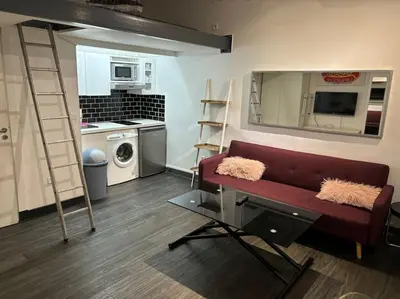 Cuisine ou kitchenette dans l'établissement Studio Bastille