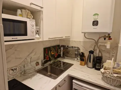 Cuisine ou kitchenette dans l'établissement Appartement 2 pièces à Auteuil