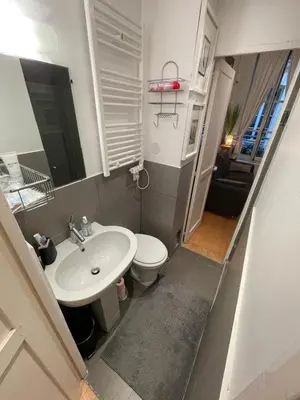 Salle de bains dans l'établissement Romantique Suite Pont Neuf
