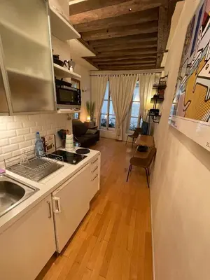 Cuisine ou kitchenette dans l'établissement Romantique Suite Pont Neuf