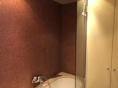 Salle de bains dans l'établissement appartement au calme, avec balcon, bail mobilité ok