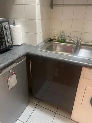 Cuisine ou kitchenette dans l'établissement STUDIO WJD