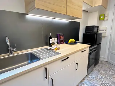 Cuisine ou kitchenette dans l'établissement L' Appartement Richard-Lenoir