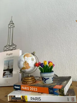 Bibliothèque dans l'appartement