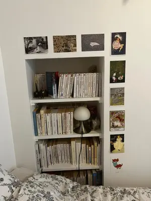 Bibliothèque dans le séjour chez l'habitant