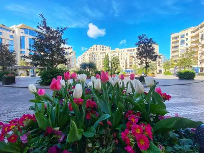 Jardin de l'établissement Superbe appartement terrasse