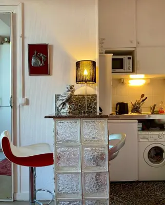 Cuisine ou kitchenette dans l'établissement Studio chic Paris Tour Eiffel Near Eiffel tower 7th floor